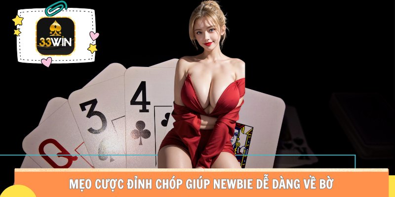 Mẹo cược đỉnh chóp giúp newbie dễ dàng về bờ