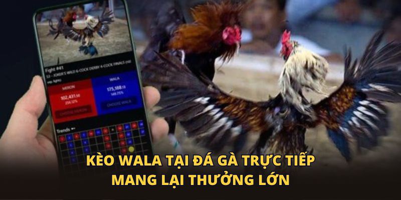 Kèo Wala tại đá gà trực tiếp mang lại thưởng lớn