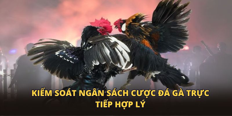 Kiểm soát ngân sách cược đá gà trực tiếp hợp lý