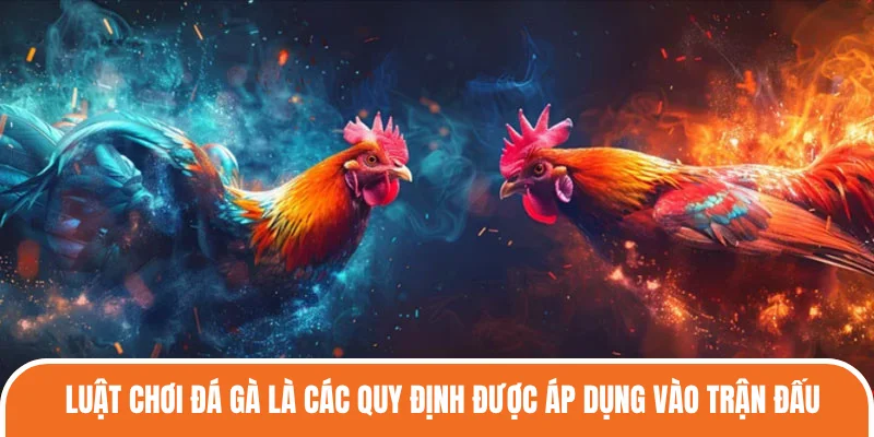 Luật chơi đá gà là các quy định được áp dụng vào trận đấu